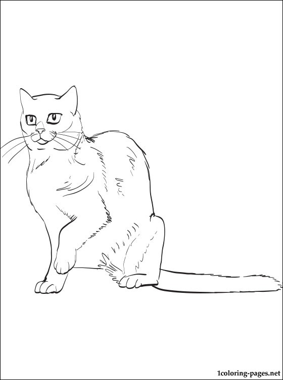 Russian Blue coloring #20, Download drawings