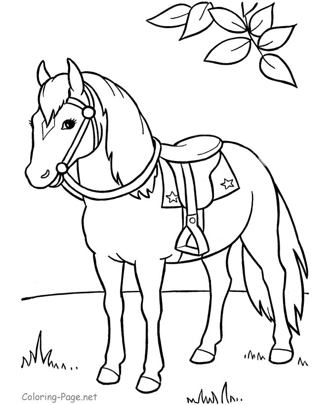 Saddle coloring #3, Download drawings