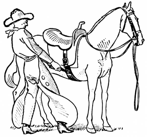 Saddle coloring #6, Download drawings