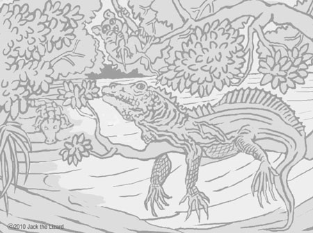 Sailfin Lizard coloring #1, Download drawings