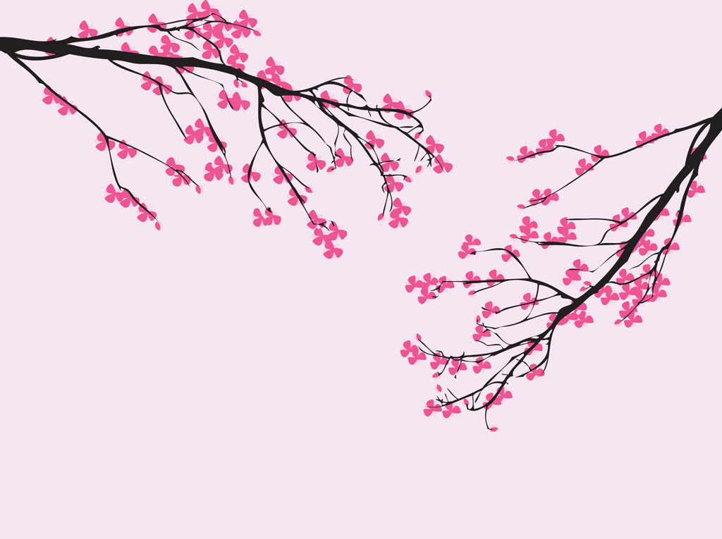 Sakura Blossom clipart #6, Download drawings
