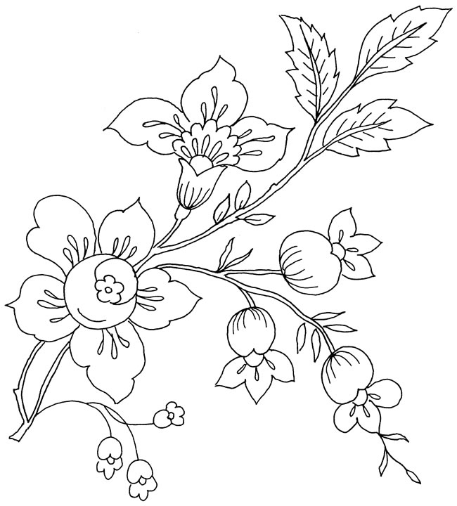Sakura Blossom coloring #7, Download drawings