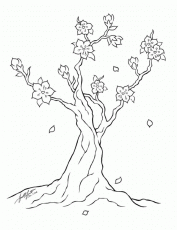 Sakura Tree coloring #16, Download drawings