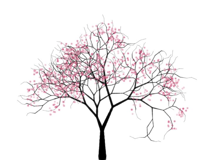 Sakura Tree svg #4, Download drawings
