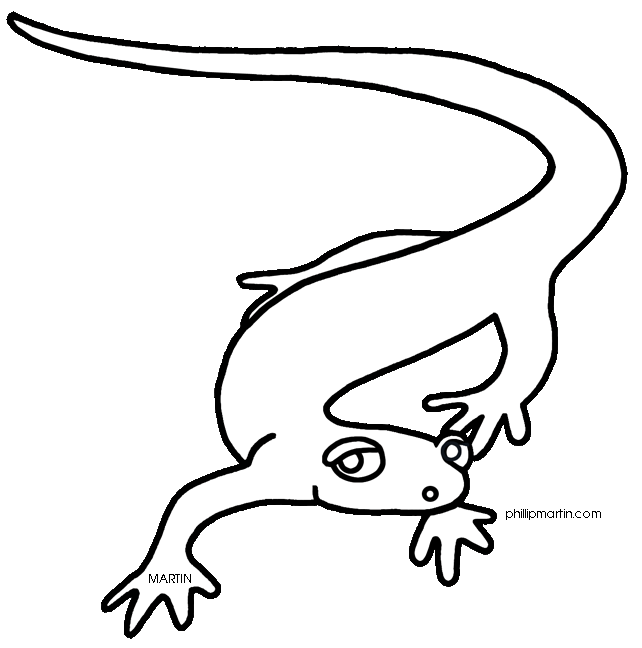 Salamander clipart #6, Download drawings