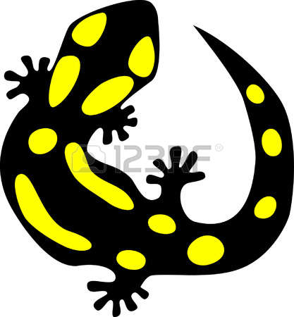 Salamander clipart #9, Download drawings