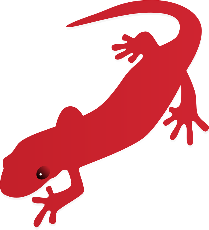 Salamander clipart #11, Download drawings
