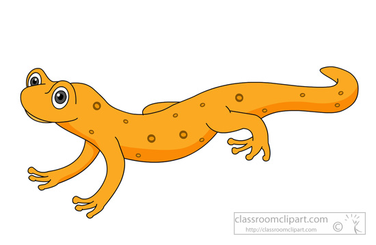 Salamander clipart #15, Download drawings