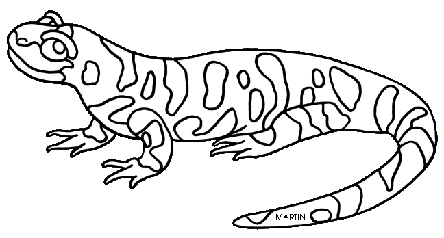 Salamander clipart #17, Download drawings