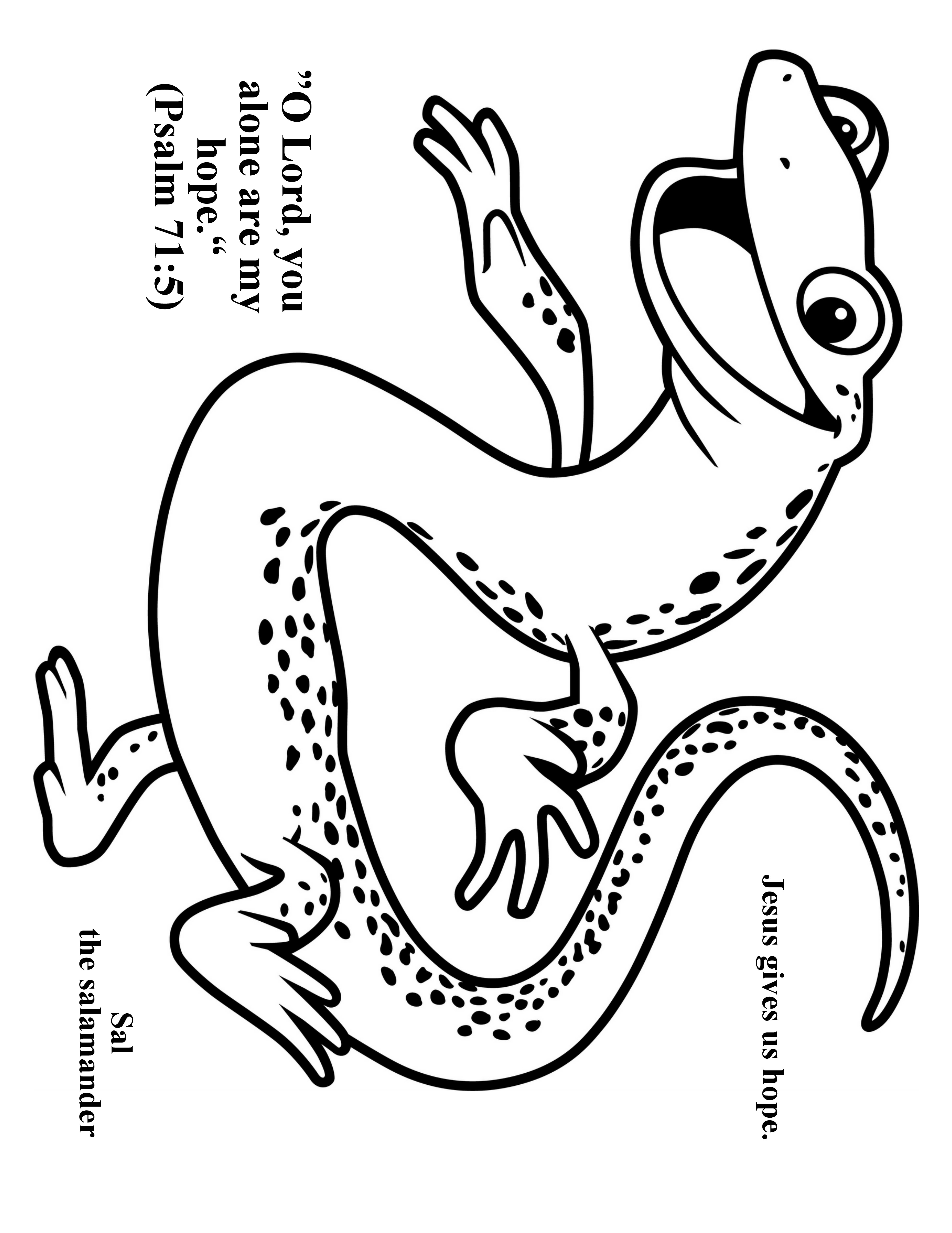 Salamander coloring #1, Download drawings