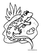 Salamander coloring #5, Download drawings