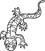 Salamander coloring #17, Download drawings