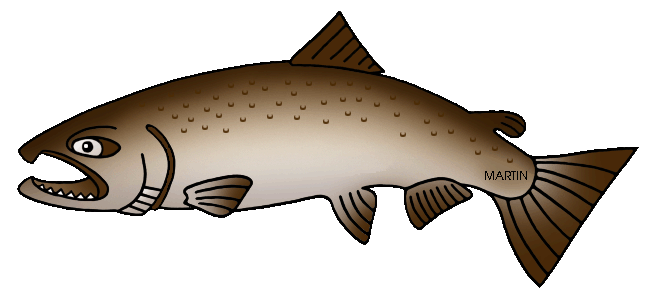 Sockeye Salmon clipart #4, Download drawings