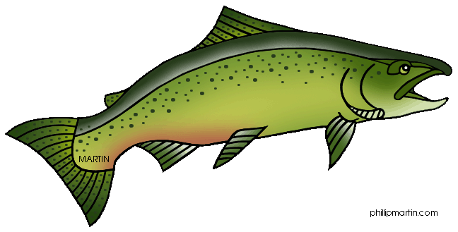 Salmon clipart #19, Download drawings