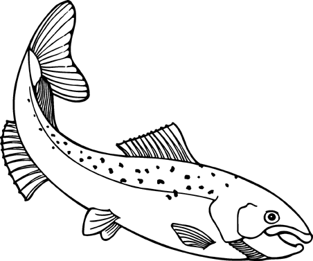 Salmon clipart #12, Download drawings