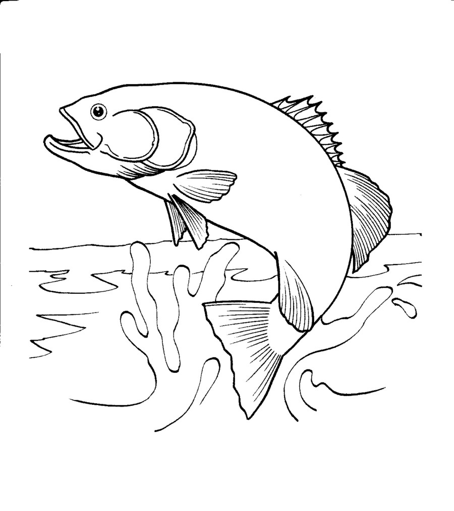 Salmon coloring #11, Download drawings