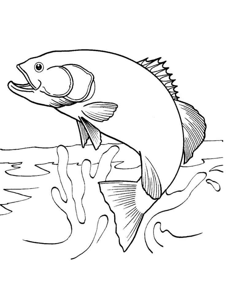 Salmon coloring #7, Download drawings