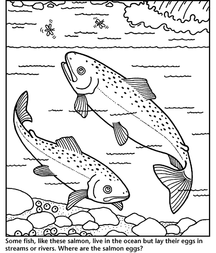 Salmon coloring #12, Download drawings