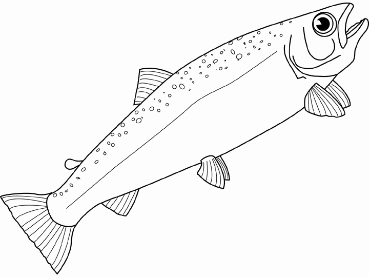 Salmon coloring #18, Download drawings