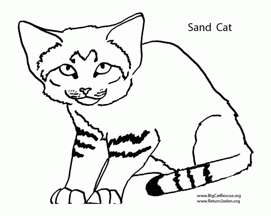 Sand Cat coloring #4, Download drawings