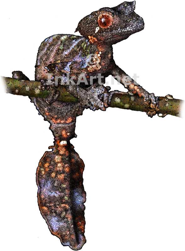 Satanic Leaf-tailed Gecko coloring #9, Download drawings