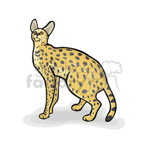 Savannah Cat clipart #11, Download drawings