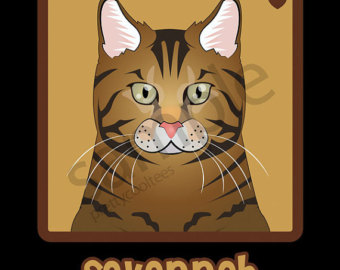 Savannah Cat clipart #5, Download drawings