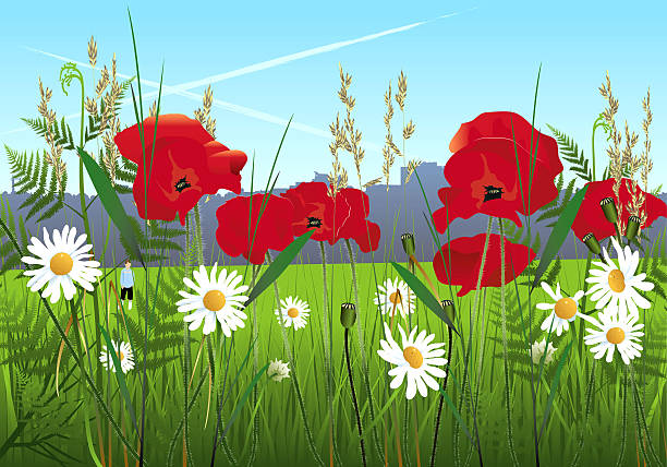 Saw Grass clipart #15, Download drawings