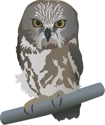 Saw Whet Owl svg #20, Download drawings
