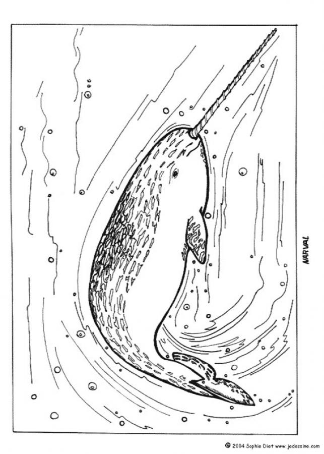 Sawfish coloring #6, Download drawings
