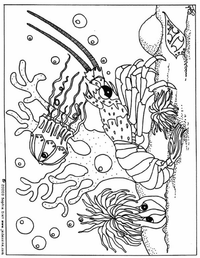 Sawfish coloring #5, Download drawings