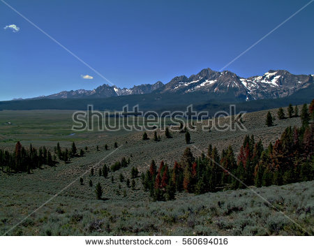 Sawtooth National Recreation Area clipart #12, Download drawings
