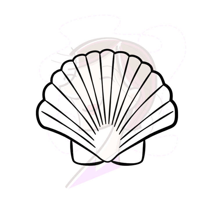 Scallop clipart #14, Download drawings