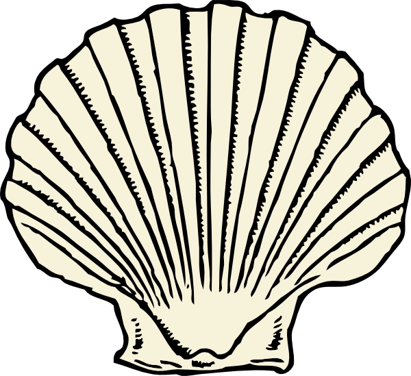 Scallop coloring #14, Download drawings