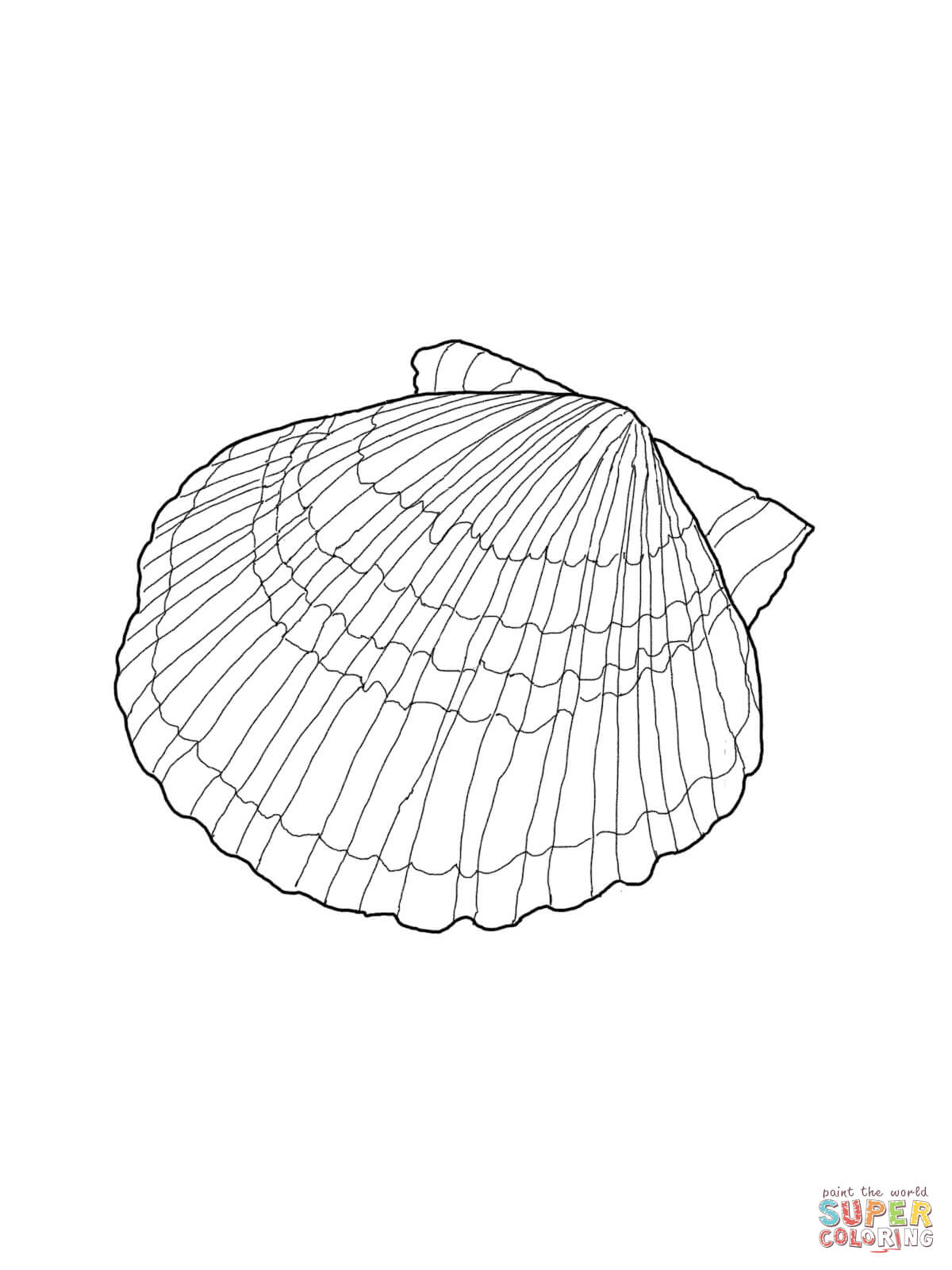 Scallop coloring #8, Download drawings