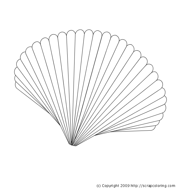Scallop coloring #7, Download drawings