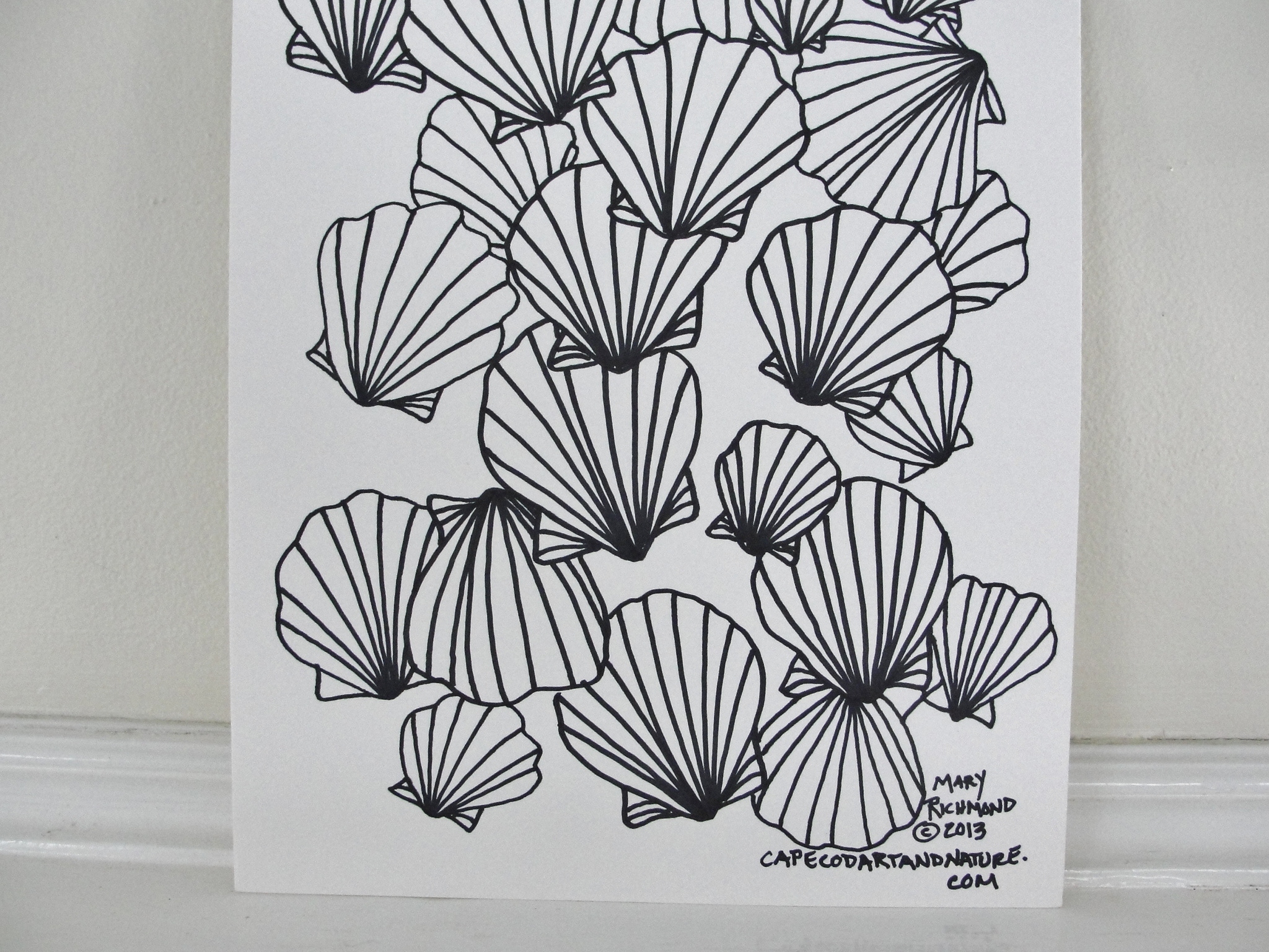 Scallop coloring #18, Download drawings