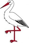 Scarlet Ibis clipart #12, Download drawings