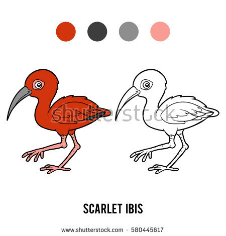 Scarlet Ibis coloring #5, Download drawings