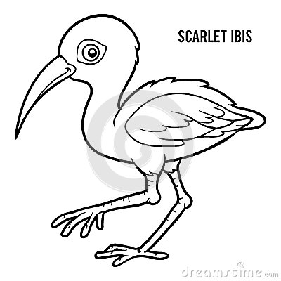 Scarlet Ibis coloring #18, Download drawings