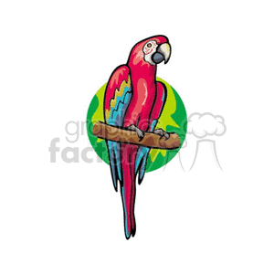 Scarlet Macaw clipart #13, Download drawings