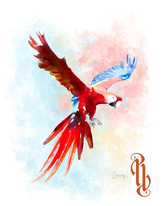 Scarlet Macaw svg #6, Download drawings