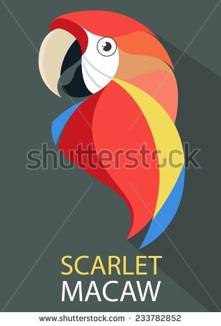 Scarlet Macaw svg #18, Download drawings