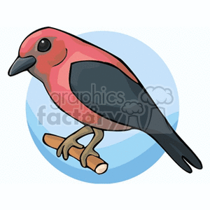 Scarlet Tanager clipart #12, Download drawings