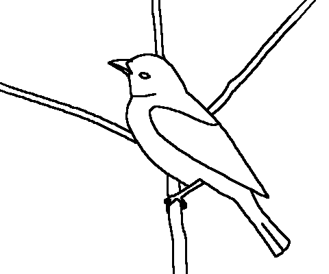 Scarlet Tanager coloring #1, Download drawings