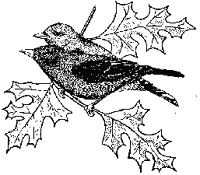 Scarlet Tanager coloring #17, Download drawings
