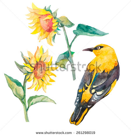 Scarlet Tanager svg #5, Download drawings