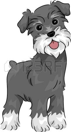 Schnauzer clipart #3, Download drawings