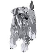 Schnauzer clipart #15, Download drawings