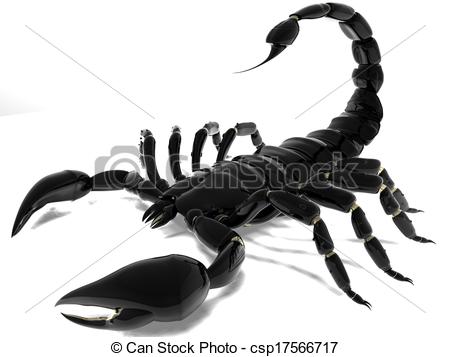 Scorpion clipart #10, Download drawings